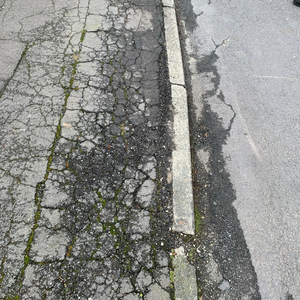 Image courtesy of Littleborough Lakeside Liberal Democrats Street Survey Photo